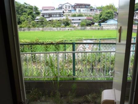 Balcony. Veranda