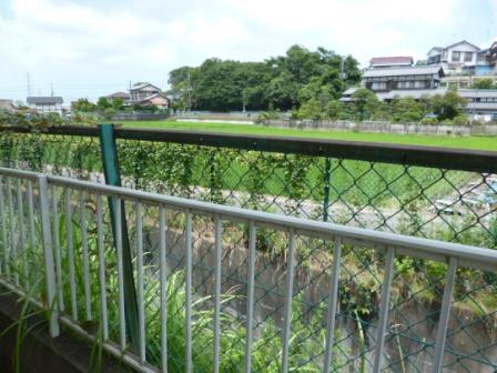 Other. The back of the apartment is a rural landscape