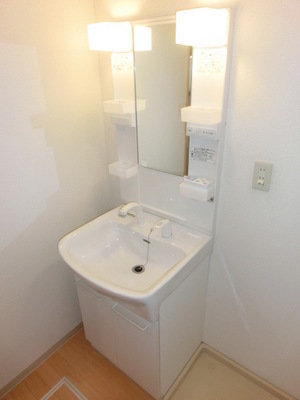 Washroom. Shampoo dresser equipped