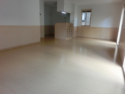 Living and room. Spacious LDK