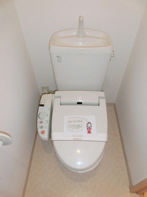 Toilet. With cleaning function.