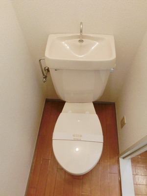 Toilet. Toilet