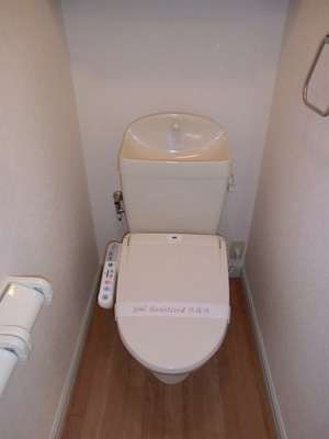 Toilet. Toilet