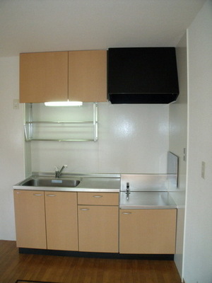 Kitchen. Gas stove can be installed bright kitchen