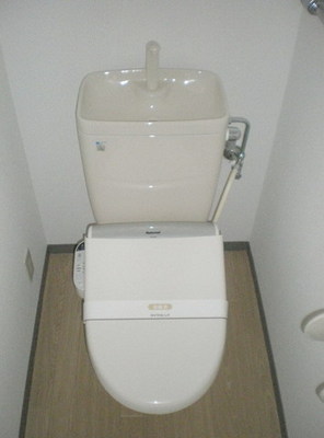 Toilet. Standard toilets