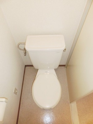 Toilet. It is a simple toilet