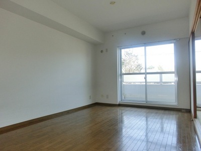 Living and room. Flooring-clad apartment