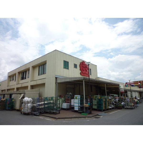 Supermarket. Super Taiyo 270m to Chiba shop