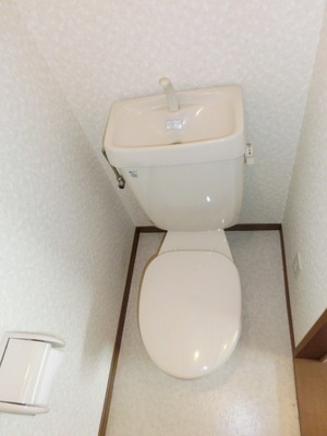 Toilet. Independent toilet