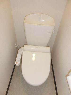 Toilet. Toilet with warm water washing toilet seat