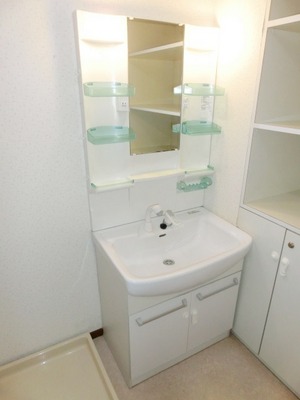 Washroom. Bathroom Vanity