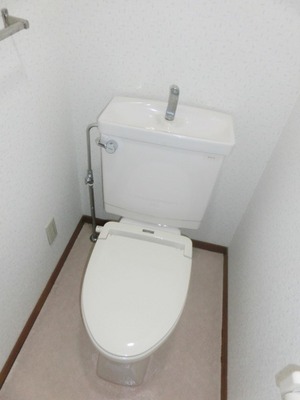 Toilet. Toilet