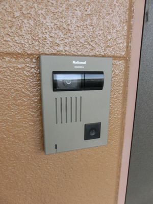 Security. Intercom with security TV monitor