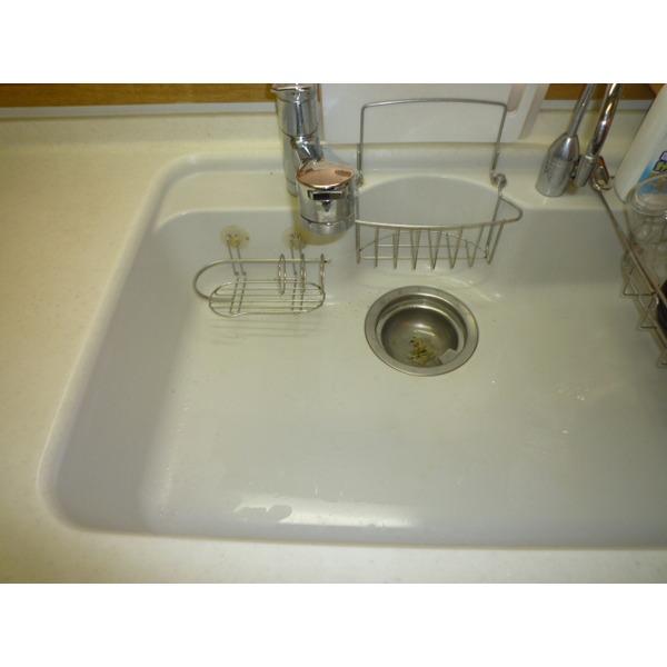 Kitchen. Care and of easy integrally molded sink