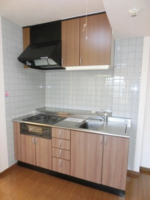 Kitchen. Gas stove with a kitchen