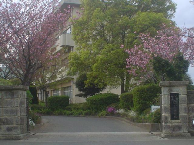 Junior high school. 1394m to the Chiba Municipal Mitsuwadai junior high school