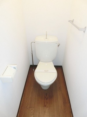 Toilet. Toilet