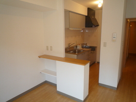 Kitchen. Since the counter has arrived Rarema divides the kitchen space and living room