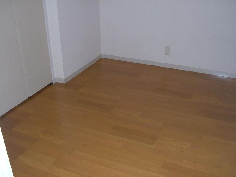 Living and room. Flooring of the room