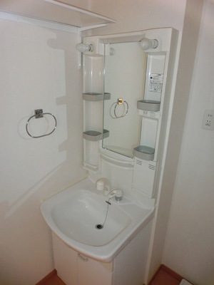 Washroom. Glad Shampoo dresser