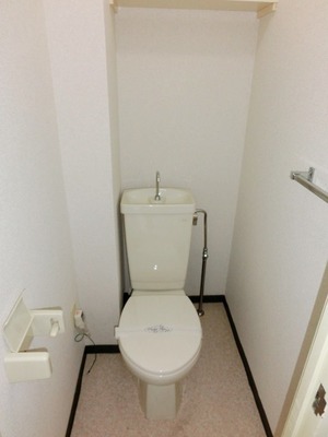 Toilet. Standard toilets