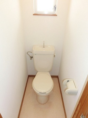 Toilet. Also it comes with window independently of the toilet