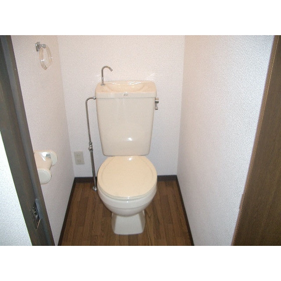 Toilet. Toilet Separate