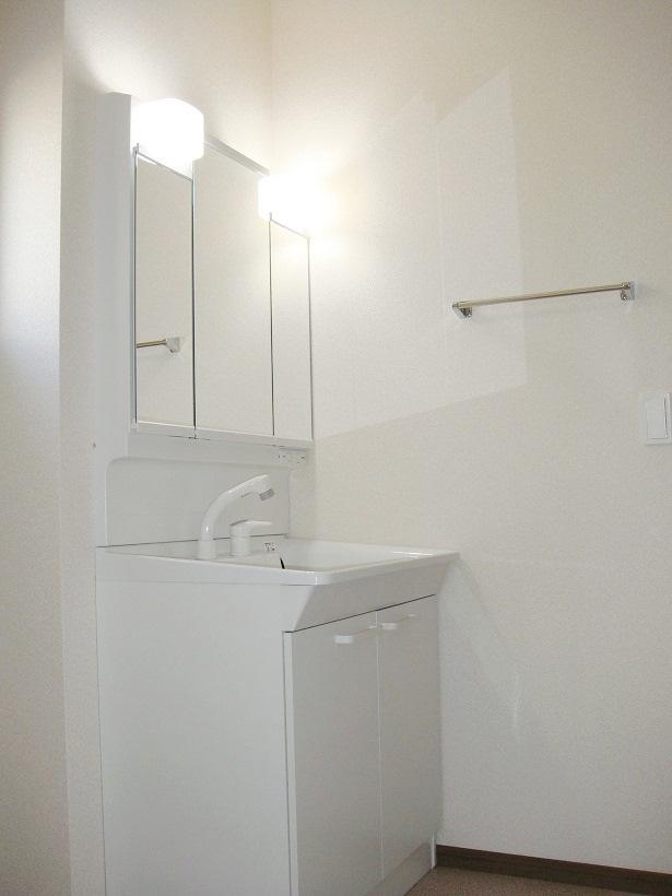 Wash basin, toilet. With handheld shower three-sided mirror (All building common)