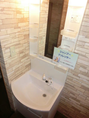 Washroom. Shampoo dresser - with separate wash basin