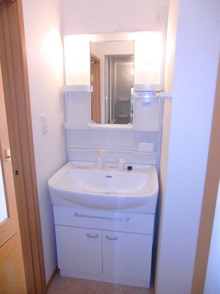 Washroom. Shampoo dresser