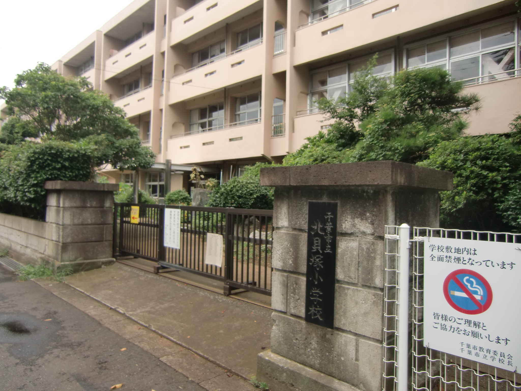 Primary school. 637m to Chiba City Tatsukita Kaizuka elementary school (elementary school)