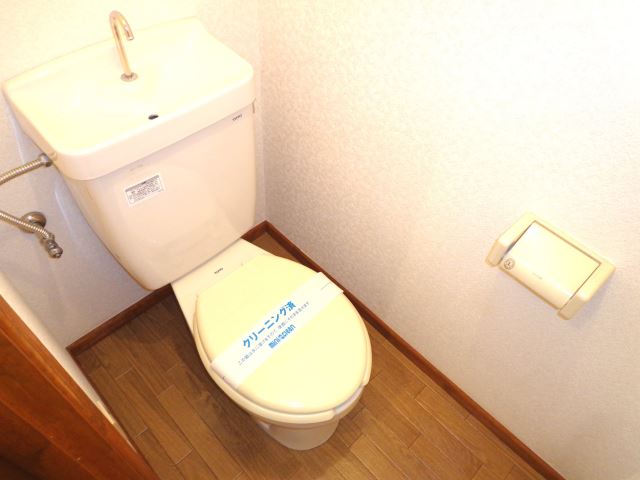 Toilet. Western-style toilet