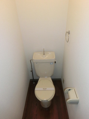 Toilet. Washlet mounting possible