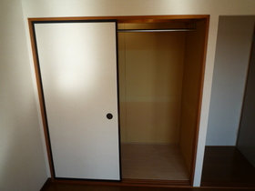 Other. It has been changed to facilitate closet type use the closet!