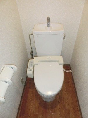 Toilet. With cleaning function.