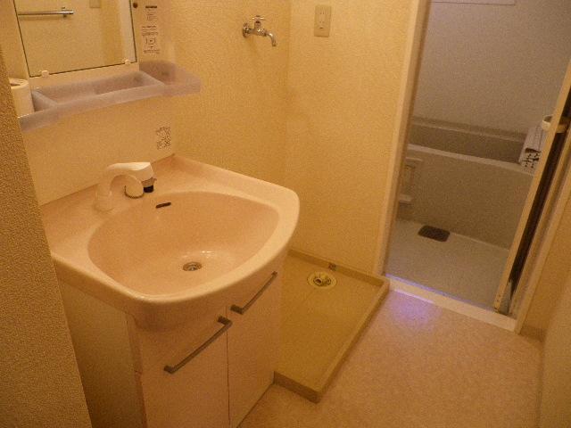 Washroom. With shampoo dresser