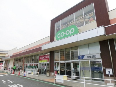 Supermarket. 200m to the Co-op (super)