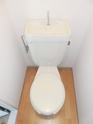 Toilet. I toilets are simple.