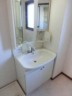 Washroom. Wash basin with shampoo dresser