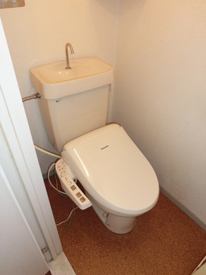 Toilet. With cleaning function.