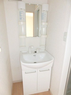 Washroom. Bathroom Vanity