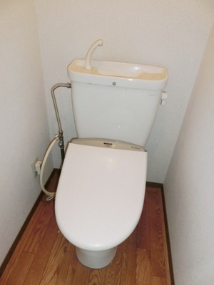 Toilet. Toilet