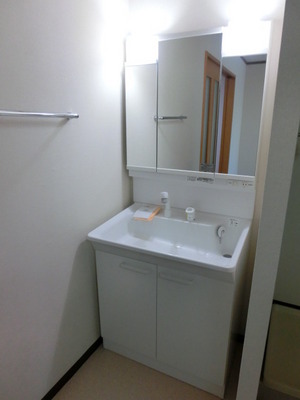 Washroom. Wash basin with shampoo dresser