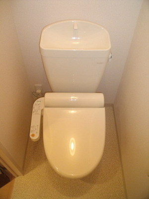 Toilet. Cleaning feature with toilet