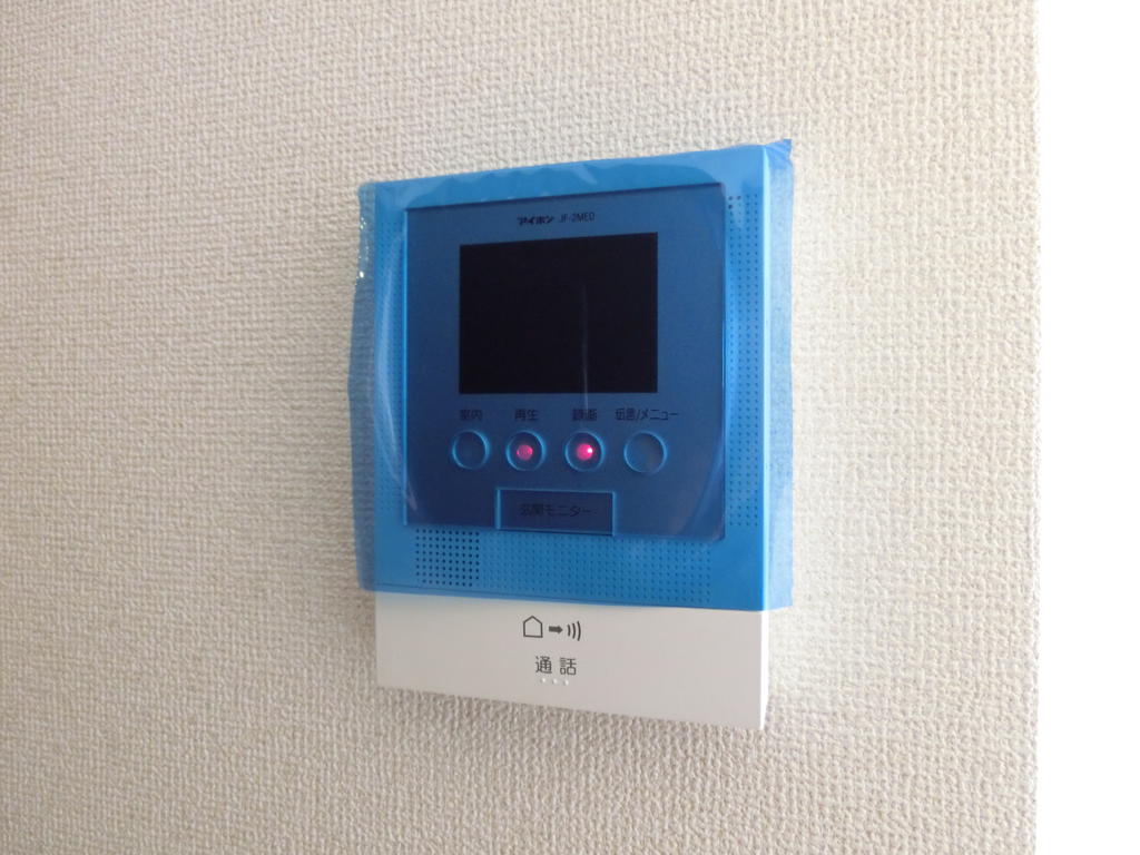 Security. Monitor with intercom