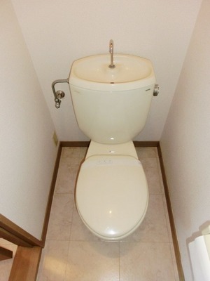Toilet. Standard toilet.