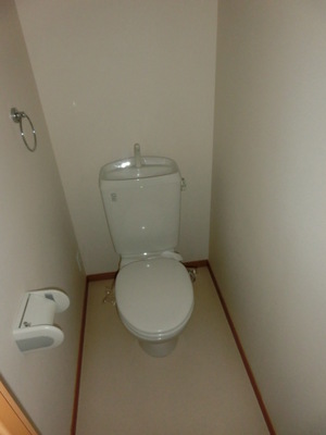 Toilet. Toilet