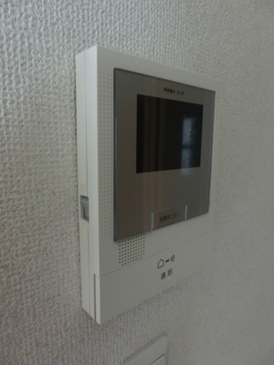 Security. TV Intercom