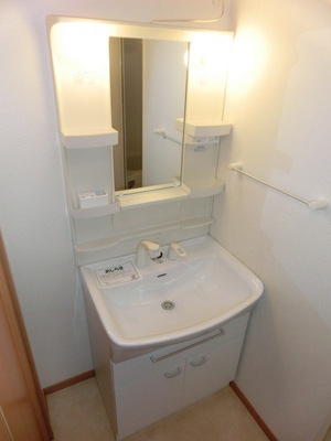 Washroom. Shampoo dresser