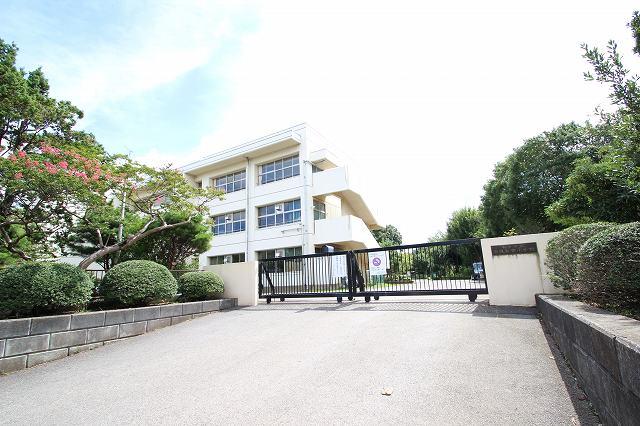 Junior high school. 803m until the Chiba Municipal Chishirodaiminami junior high school